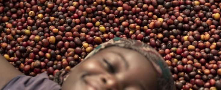 Il mondo per immagini: è la sfida di Photofestival, tra grandi nomi ed esordienti