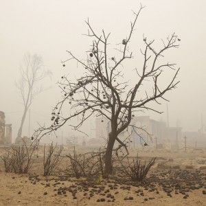 Pascal Acot: "Sul clima basta promesse, adesso i governi devono agire"