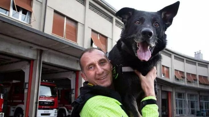 La storia del cane da salvataggio Hakkin, ferito durante un soccorso che ora ha una nuova vita