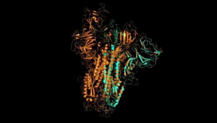 "A caccia di mutazioni del virus" viaggio tra i ricercatori del Campus Biomedico. "Ecco perché la variante inglese non deve far paura