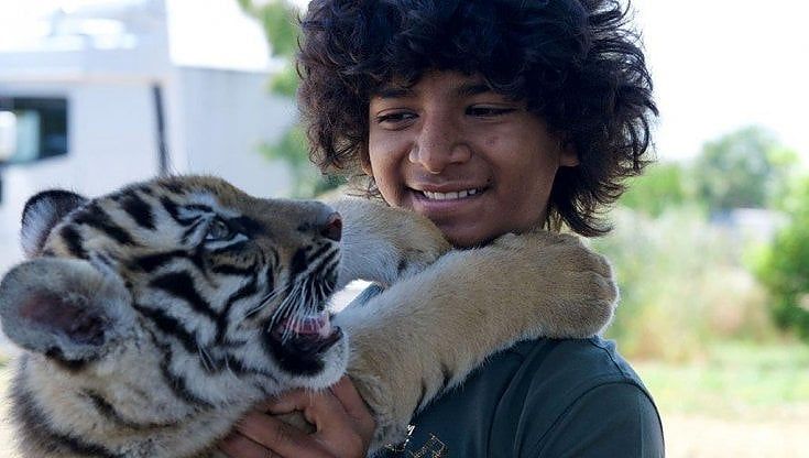 'Il ragazzo e la tigre', Brando Quilici e una grande storia d'amore per la natura