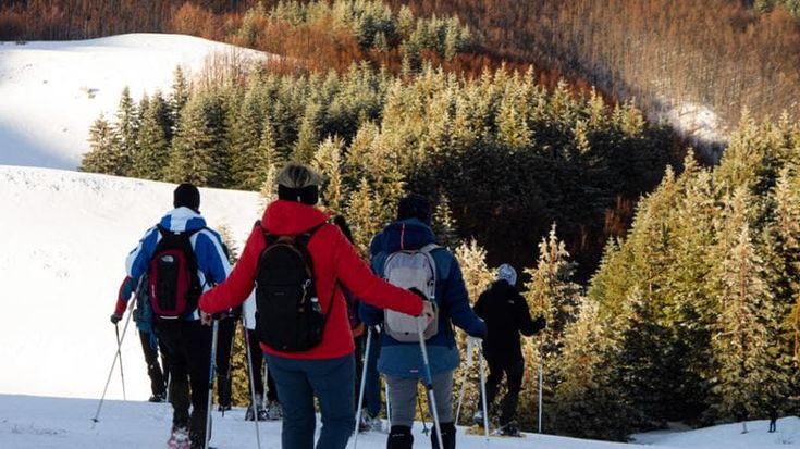 A piedi o con le ciaspole: le passeggiate d’inverno