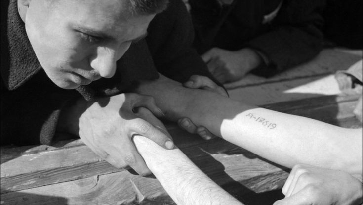 Il segreto di “Lale”, tatuatore dei nazisti