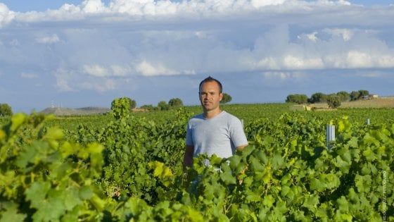 Dal campo alla vigna: quando il vino lo producono i calciatori (e gli allenatori)