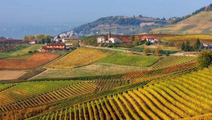 Il Guardian elogia il Piemonte e le Langhe: "La bagna cauda è gloriosa"