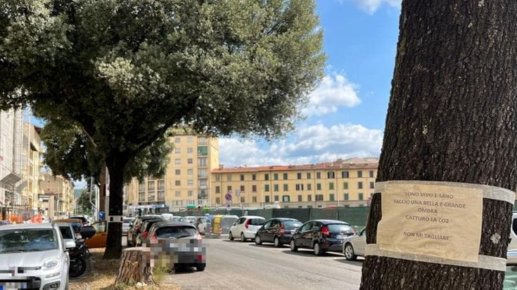 Firenze, Esselunga taglia solo 3 alberi e “fa pace” col quartiere