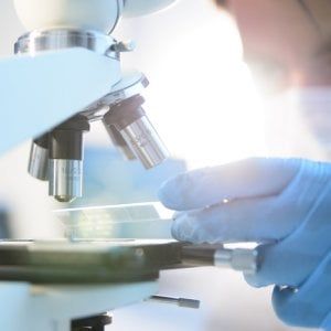 Cancro al seno, così il sistema immunitario ha "distrutto" le metastasi