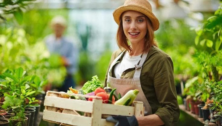 Agricoltura, solo il 4% degli imprenditori ha meno di 35 anni