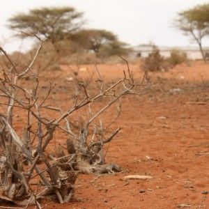 Clima, il Sud Italia potrebbe diventare come l'Africa