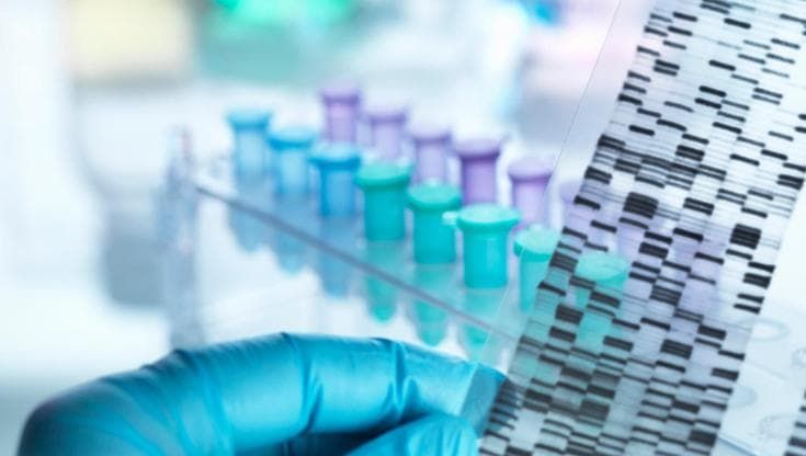Dalle tossine degli scorpioni alla longevità, i big dell’IA investono nella biologia