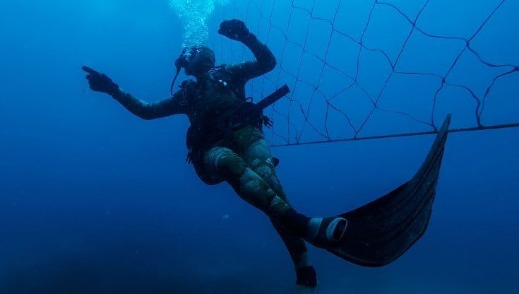 Sud Africa. Le reti antisqualo fanno tornare i turisti. "Ma sono una trappola mortale, anche per i delfini"