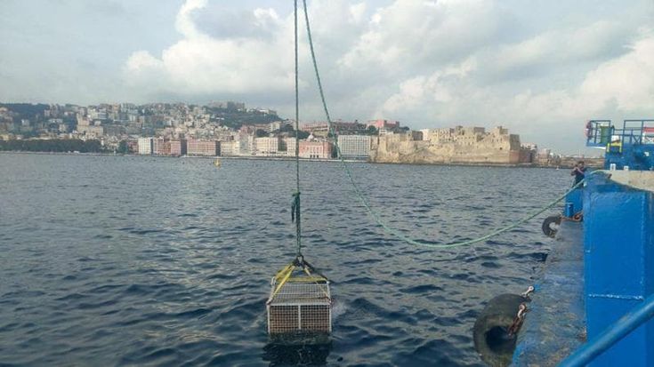 Castel dell’Ovo, la prima volta dell’aceto in una cantina sottomarina