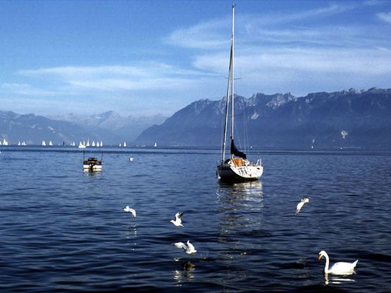 Tutti i colori della natura svizzera