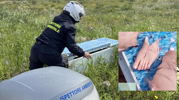 In un frigo abbandonato volontari trovano una bambola in silicone fatta a pezzi: “Macabro”