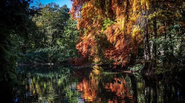 Iacometti: “Per il foliage lasciate stare i filtri, la bellezza della natura è nell’imperfezione”