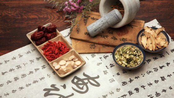 La Cina vieta la vendita di animali e piante rare. Le proteste: "A rischio medicina tradizionale"