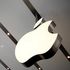 Apple, è record: vale 800 miliardi in Borsa