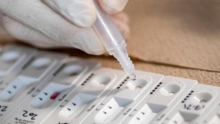 Covid, la nuova variante Cicada avanza negli Usa. Pregliasco: “Sfugge ai vaccini”