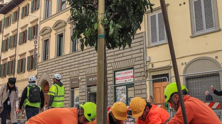 Gli alberi d’arancio vicini al Duomo, così rinasce via Cavour