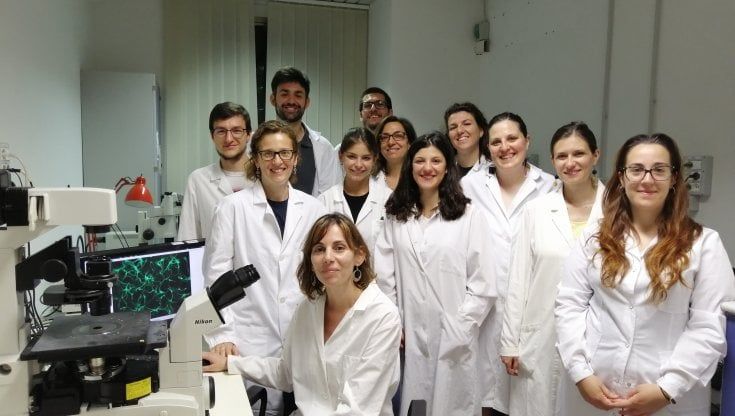 Lesioni spinali, perché non provare ad allungare i neuroni?