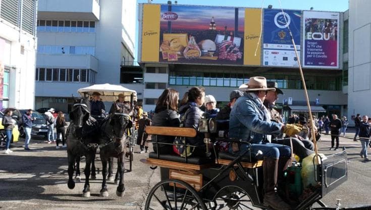 Fieracavalli, un viaggio in carrozza per i ragazzi disabili: così sono arrivati da Modena a Verona