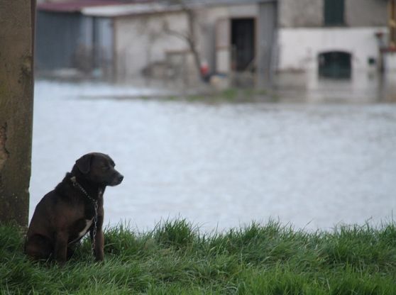 Periferia di Prato, case isolate e allagamenti