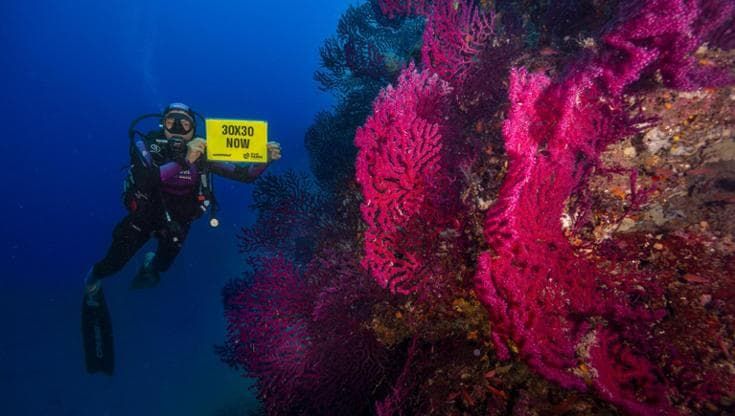 Sub in missione nel golfo di Napoli: "Più protezione per il Banco di Santa Croce"