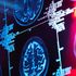 Previsioni, sintomi e nuove cure: le cinque risposte sull’Alzheimer