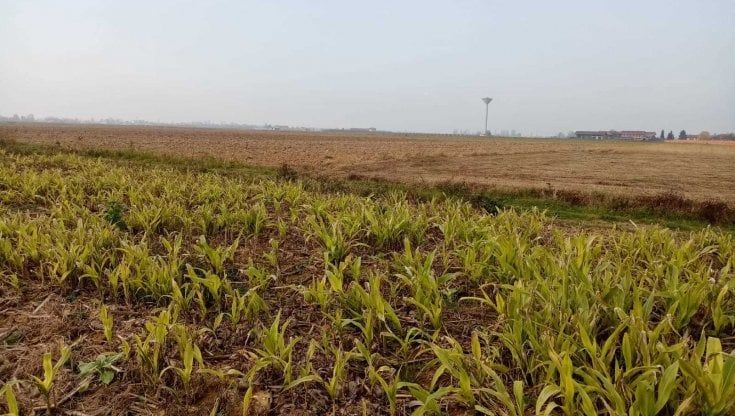 "Non vogliamo un ecomostro che divori ettari di campi agricoli: basta spreco di suolo"