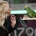'Portobello', 4 milioni di spettatori per il ritorno in tv tra critiche social e proteste degli animalisti
