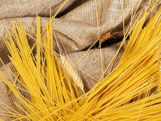 Grano duro, previsto un calo di semine e produzione