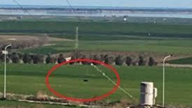 In Puglia torna l'allerta per la pantera nera: a Ostuni trovati cani sbranati. Il sindaco: "Non fate jogging"