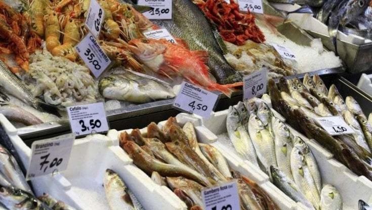 Spigole agli ormoni, il 25% del pesce è nelle mani dei bagarini