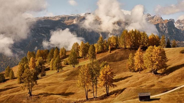 Inseguendo l’autunno: la mappa del foliage italiano dalle Alpi alla Calabria