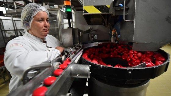 Sensori, app e colture hi tech: il futuro del cibo passa dall'Italia