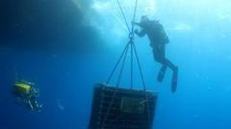 Ricerca Unifi sui vini affinati in mare: “Risultati interessanti, ora nuovi studi”