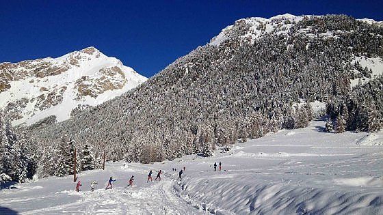 Neve, ciaspole e... stelle. Queyras, montagna incantata
