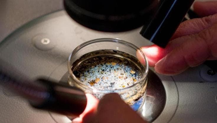 Infarto più grave se nel sangue ci sono più microplastiche (e si fuma)
