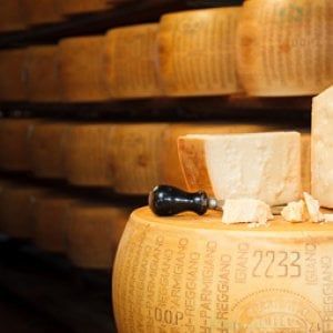 Padre, madre e due figli, in trappola la famiglia di ladri di parmigiano reggiano