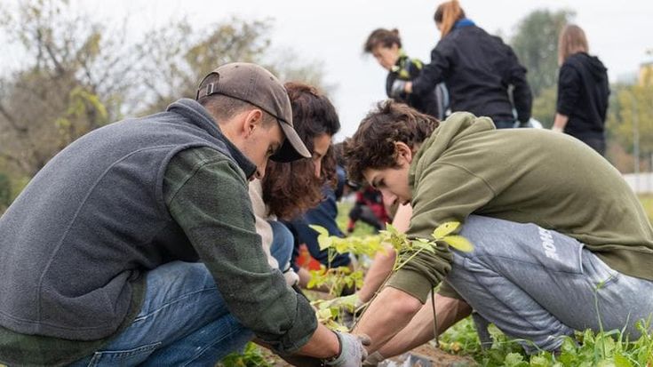 “Miele e galline al pascolo: la nostra terra promessa grazie ai campi del nonno”