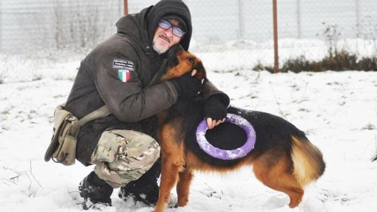 Salvare le bestie in Ucraina non è una bestialità