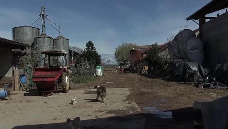 Inflazione, così l'azienda agricola resiste ai rincari causati da guerra e cambiamento climatico