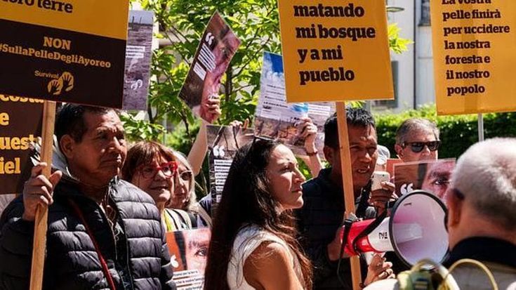 Paraguay, la produzione di pellame di lusso provoca una deforestazione indiscriminata