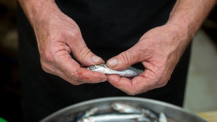 Colatura di alici, così l'essenza del mare diventa eccellenza da proteggere