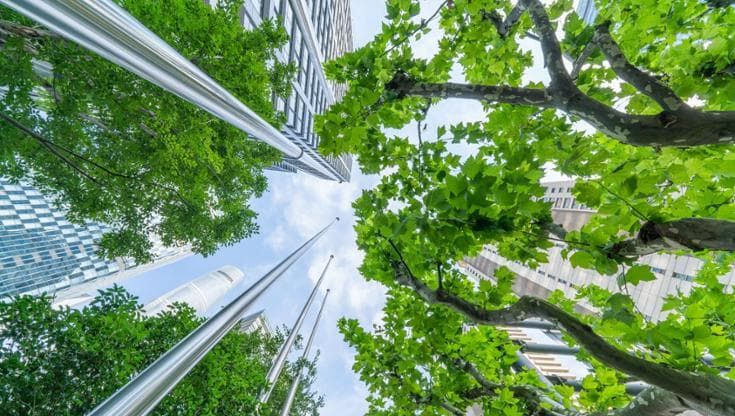 Banche europee, alle rinnovabili solo il 20% dei green bond