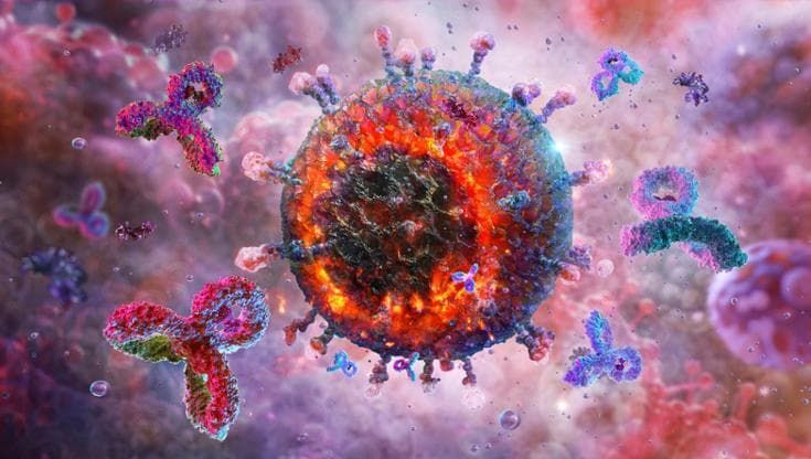 Vaccini, svelato il segreto della memoria immunitaria a lungo termine