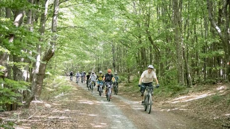 Percorsi gratuiti in mountain bike nei boschi: il fine settimana di “Alpe 4 free” a Monghidoro