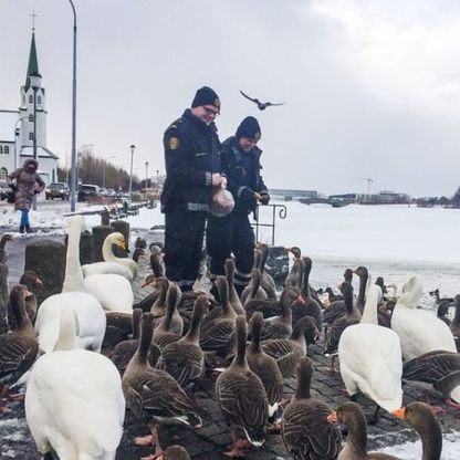 Reykjavik, i poliziotti social: nuove avventure su Instagram