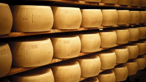 Furti triplicati e imitazioni selvagge: "Il Parmigiano è il prodotto italiano più rubato"