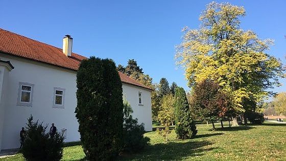 Vojvodina, natura e monumenti del granaio di Serbia